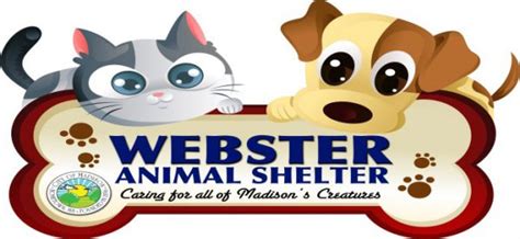 Webster animal shelter - Webster Animal Shelter. 18,008 likes · 1,262 talking about this. Webster Animal Shelter - Caring for All of Madison's Creatures 601-605-4729
